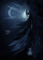 Shadows of the bat