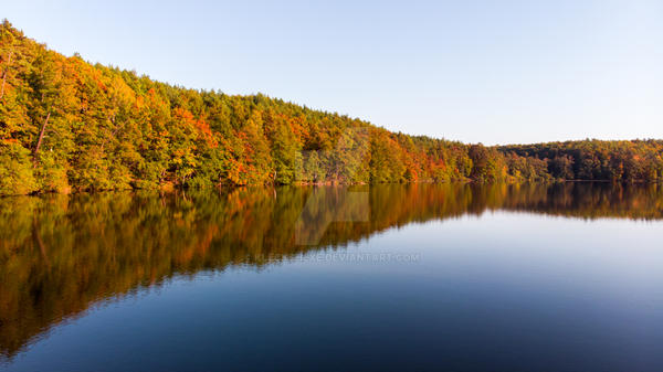 Autumn Reflections