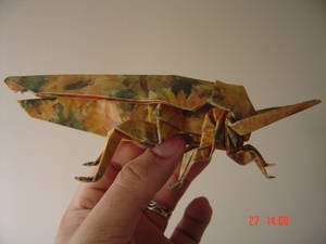 Grasshopper Origami