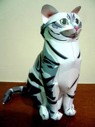 American Shorthair Papercraft