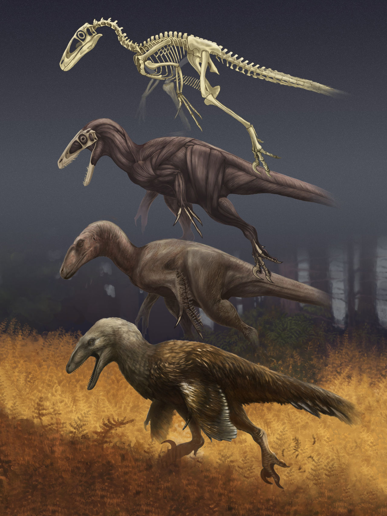 Deinonychus antirrhopus my favorite dinosaur (Art by me) : r/Dinosaurs
