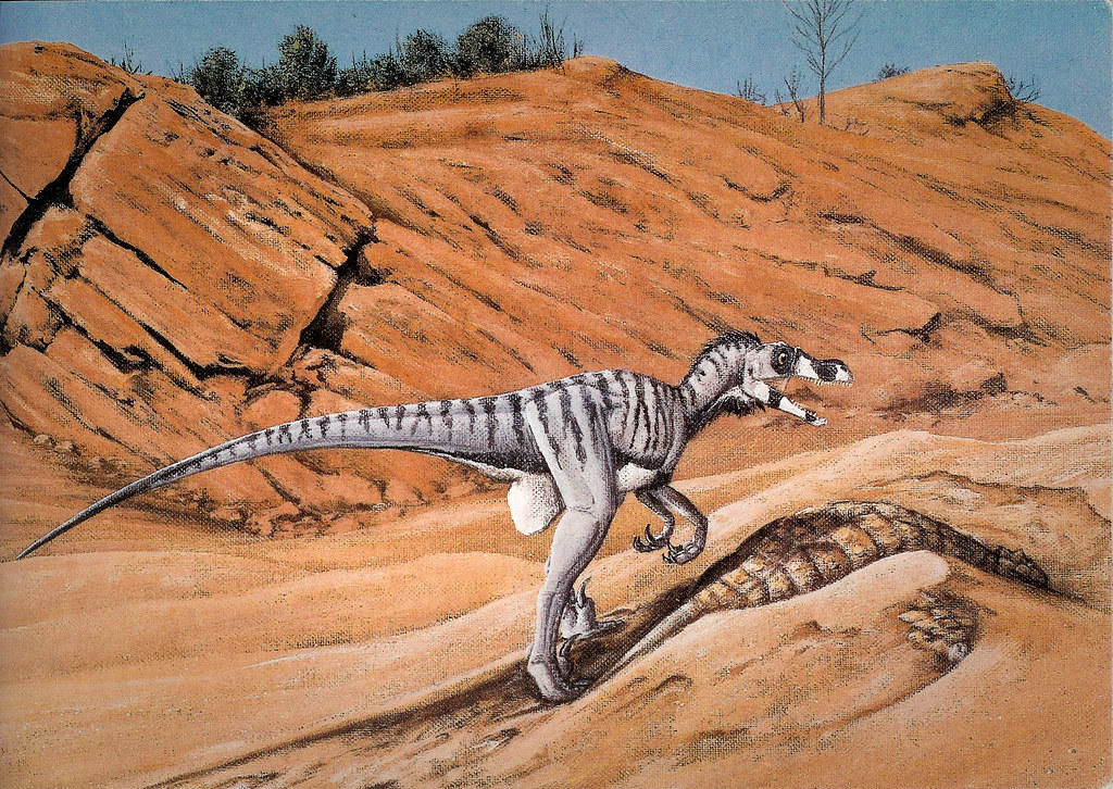 Jurassic Park dinos then and now 4312660311_09f286dbbd_b_by_jd_man_dgcpyo5-fullview.jpg?token=eyJ0eXAiOiJKV1QiLCJhbGciOiJIUzI1NiJ9.eyJzdWIiOiJ1cm46YXBwOjdlMGQxODg5ODIyNjQzNzNhNWYwZDQxNWVhMGQyNmUwIiwiaXNzIjoidXJuOmFwcDo3ZTBkMTg4OTgyMjY0MzczYTVmMGQ0MTVlYTBkMjZlMCIsIm9iaiI6W1t7ImhlaWdodCI6Ijw9NzI2IiwicGF0aCI6IlwvZlwvZGY3YTZmYTYtZjU0Mi00NjRjLThjNmItZDU5YmI0NWY3ZjVhXC9kZ2NweW81LWE2NGUyZTE2LTBjY2YtNGRiYy04NTlkLWI5ZmJlZmQ4NjE1Ny5qcGciLCJ3aWR0aCI6Ijw9MTAyNCJ9XV0sImF1ZCI6WyJ1cm46c2VydmljZTppbWFnZS5vcGVyYXRpb25zIl19