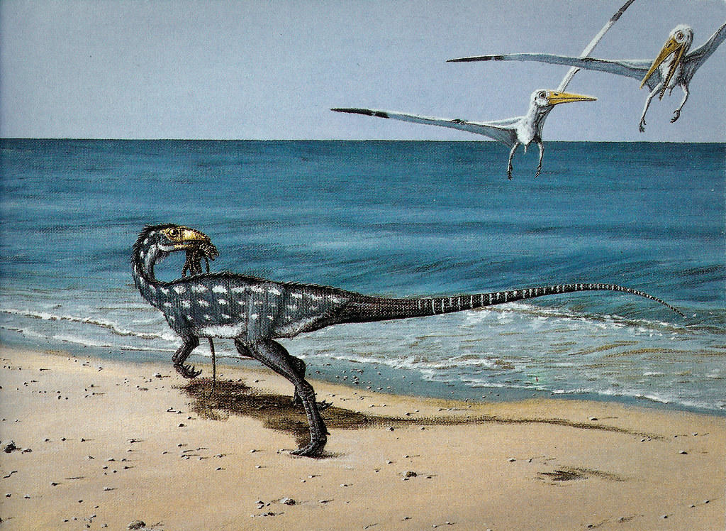 Jurassic Park dinos then and now 4312733391_8978e52d62_b_by_jd_man_dgcpz43-fullview.jpg?token=eyJ0eXAiOiJKV1QiLCJhbGciOiJIUzI1NiJ9.eyJzdWIiOiJ1cm46YXBwOjdlMGQxODg5ODIyNjQzNzNhNWYwZDQxNWVhMGQyNmUwIiwiaXNzIjoidXJuOmFwcDo3ZTBkMTg4OTgyMjY0MzczYTVmMGQ0MTVlYTBkMjZlMCIsIm9iaiI6W1t7ImhlaWdodCI6Ijw9NzQ4IiwicGF0aCI6IlwvZlwvZGY3YTZmYTYtZjU0Mi00NjRjLThjNmItZDU5YmI0NWY3ZjVhXC9kZ2NwejQzLTM3MTQ2MTBjLTAxODktNDEwYS05M2NlLTBlYTA2NDA4MjQ4Ny5qcGciLCJ3aWR0aCI6Ijw9MTAyNCJ9XV0sImF1ZCI6WyJ1cm46c2VydmljZTppbWFnZS5vcGVyYXRpb25zIl19