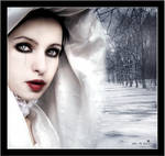 The last white Christmas by AdroVonCrow