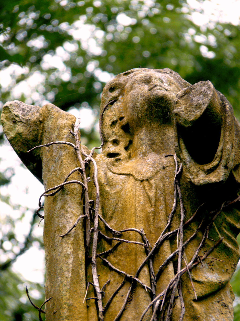 Abney Park Cemetery, London