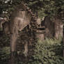 Old Jewish Cemetery in Wroclaw (Poland)