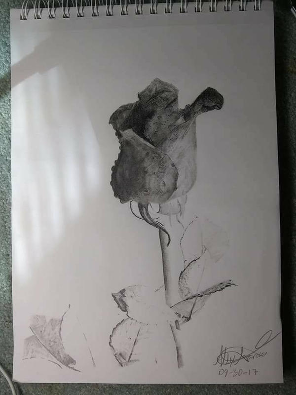 Inverted Rose Pattern Inverted Realistic Rose by AlexGarciaArt on DeviantArt
