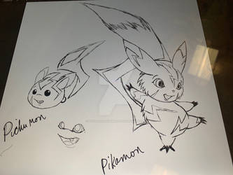 Pichumon and Pikamon