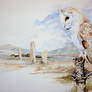Barn Owl - The Stones, Arran