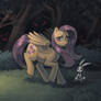 Fluttershy in Everfree Forest