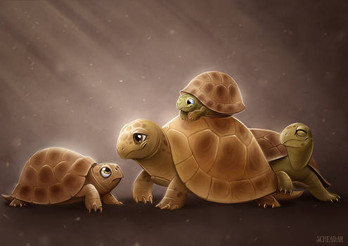 Turtles