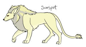 Sunspot