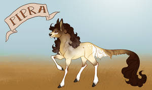 Pipra | Filly | Herdmember