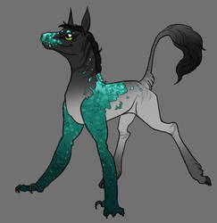 Salire baby ref