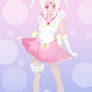 Sailor Chinese Zodiac Rabbit