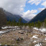 Buying nature of the Caucasus mountains