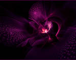 simply purple... by FeliFee