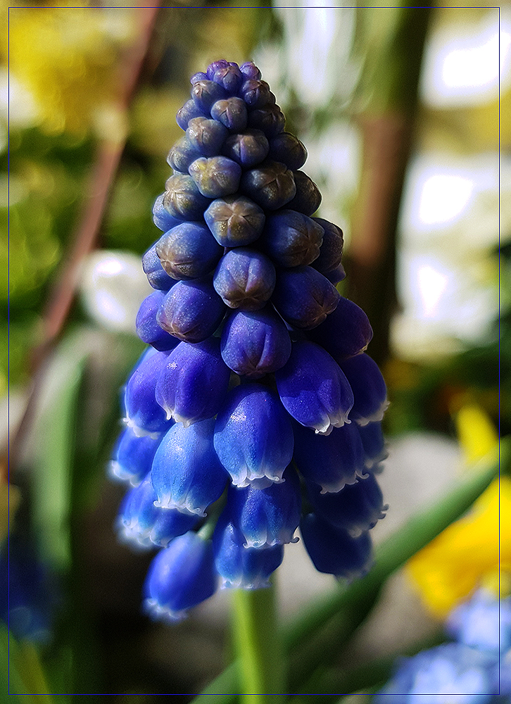 Blue Hat... by FeliFee on DeviantArt Blue Hat... by FeliFee on DeviantArt
