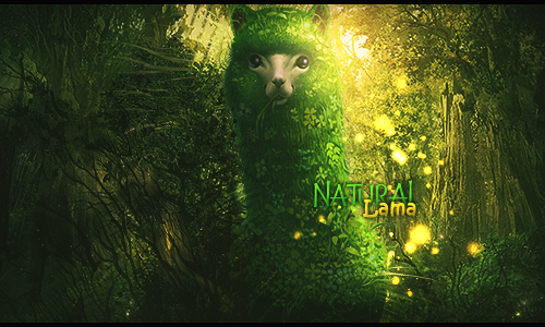 Natural Lama