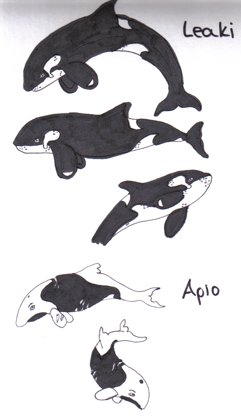 Whale and Dolphin PWN