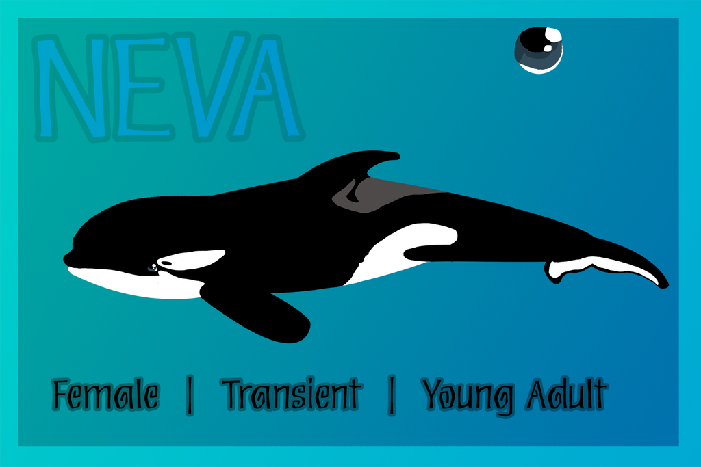 Werewolf Orca Orca OC : NEVA by SeleneTheWerewolf on DeviantArt