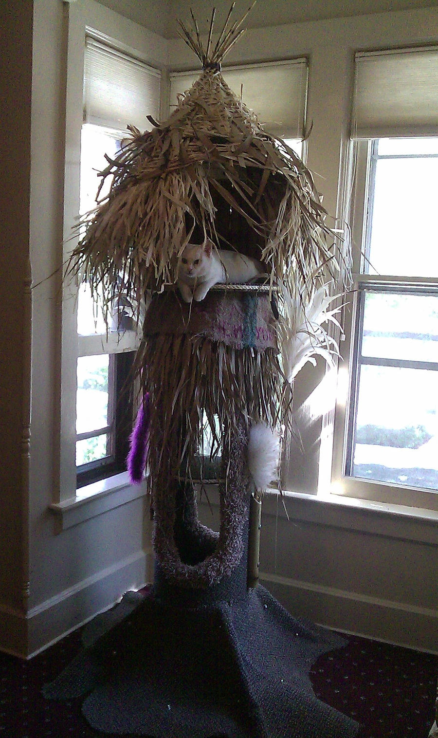 Cat tree example