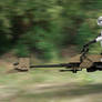 Bikerscout on patrol