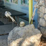 2 Swords and 1 Skull Head
