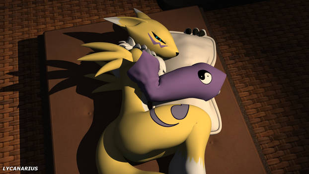 Renamon tries to sleep