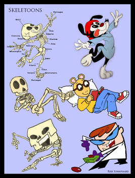 Cartoon Anatomy