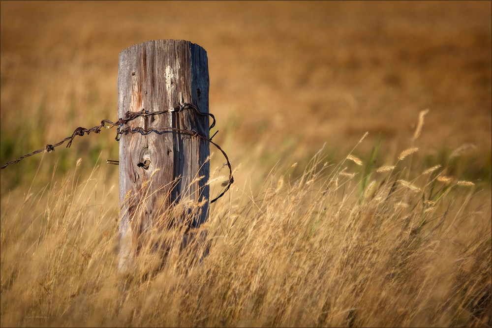 Rural Decay