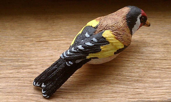 European Finch - Rear View