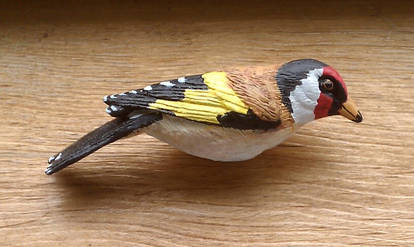 European Finch - side View