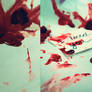 my bloody valentine