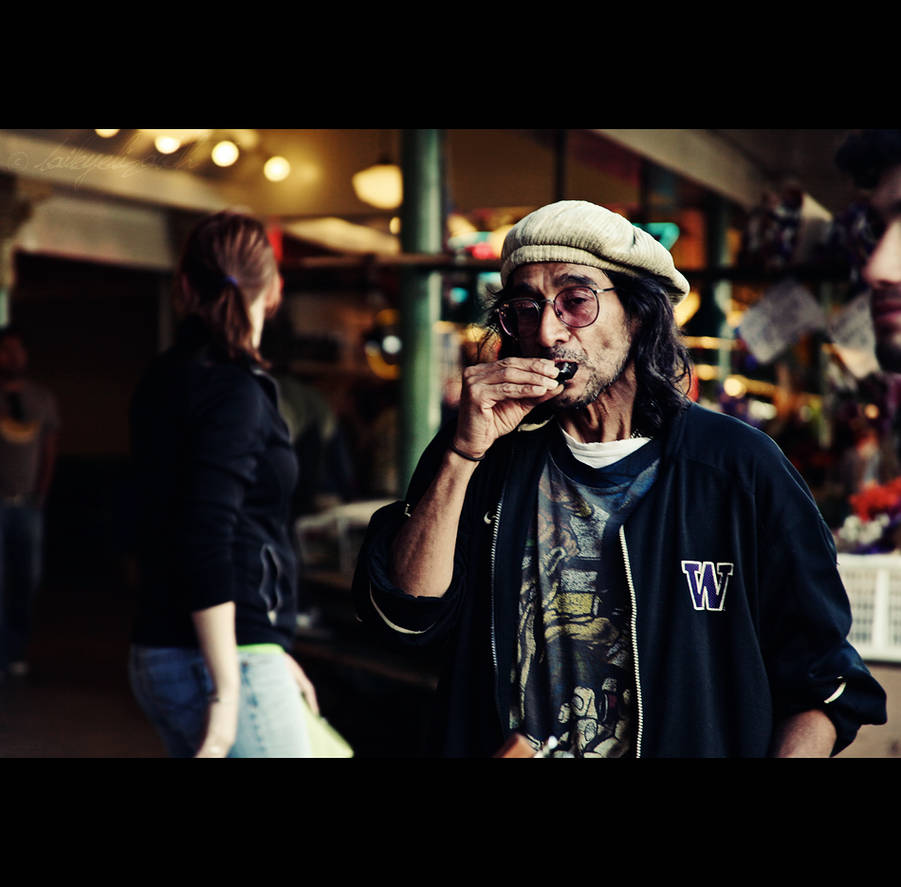 harmonica man by bailey--elizabeth