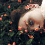 berceuse