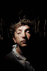 crown of thorns