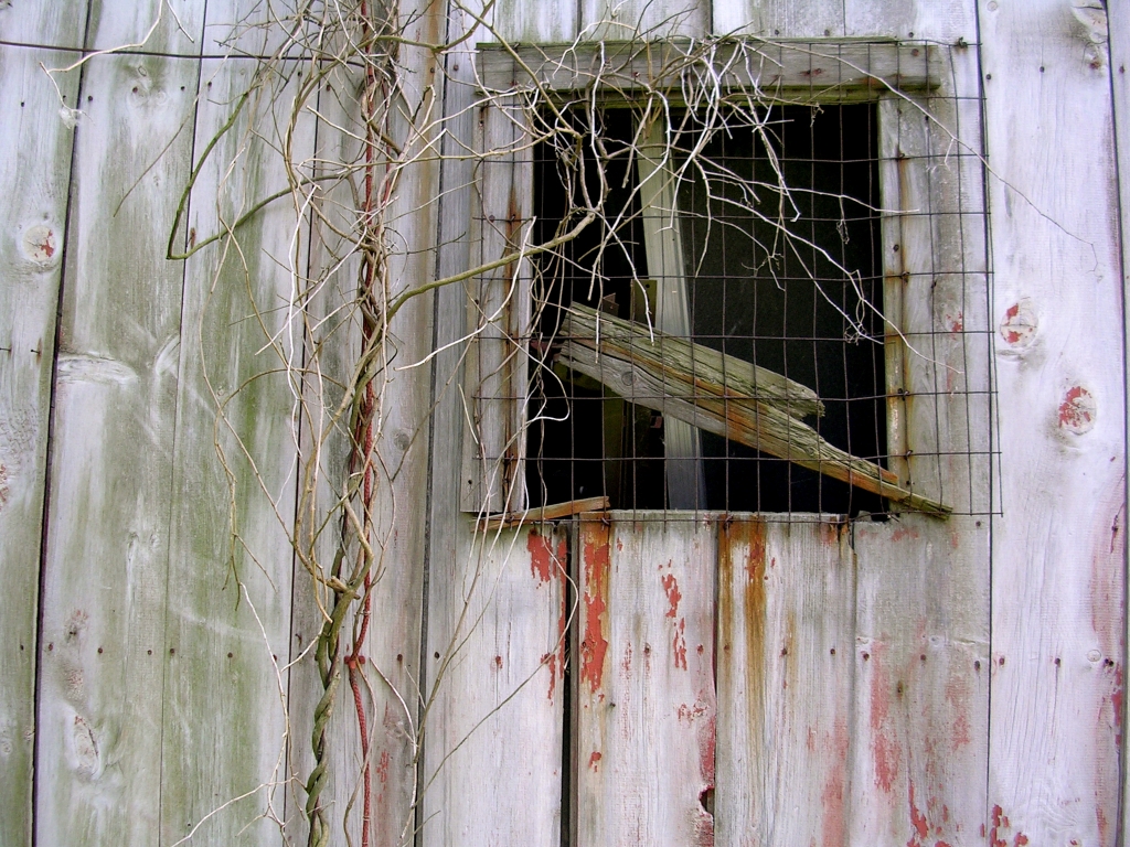 Barn Window