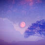 Dream