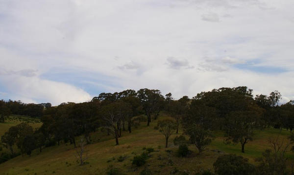 The Hills of Carcoar