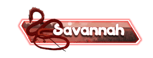 Sav Dragon Banner