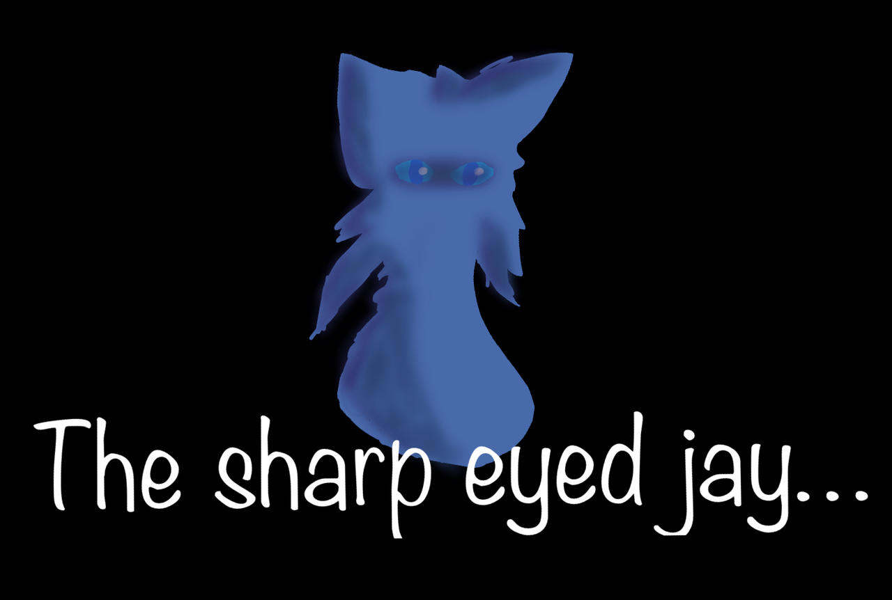 Sharp Jay Face The sharp eyed jay by Jayfeatherfanart on DeviantArt
