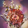 Dried flowers_01