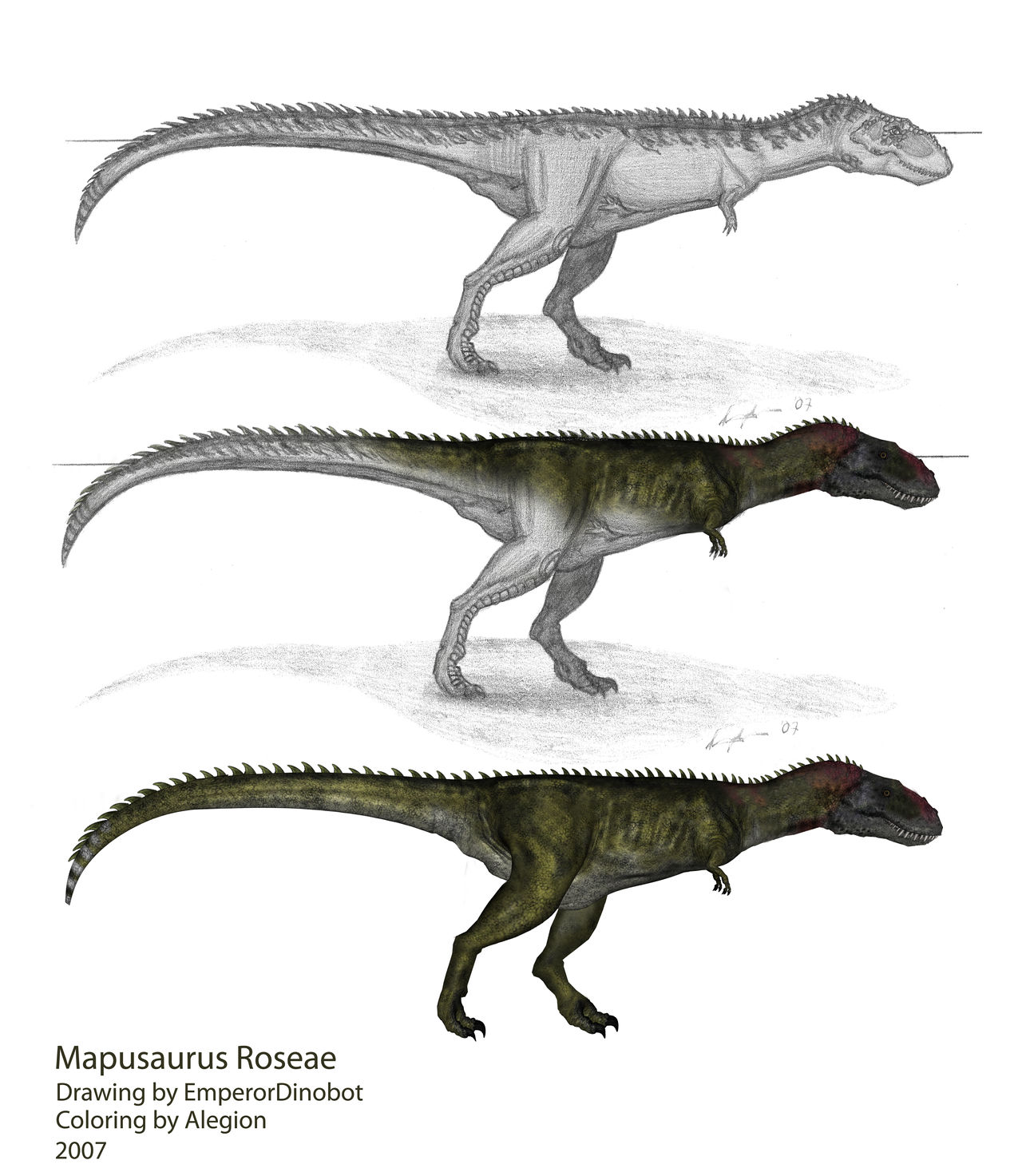 Mapusaurus Roseae - collab by Alegion on DeviantArt