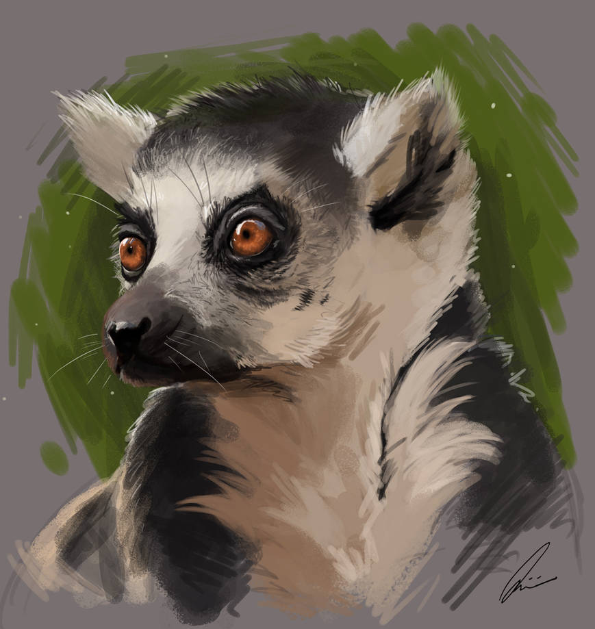 [Speedpaint] Lemur by quinniebe
