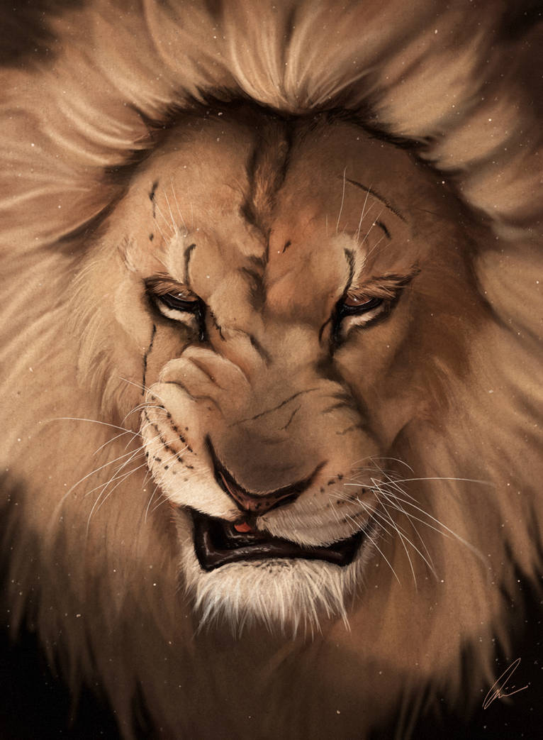 KING by quinniebe KING by quinniebe