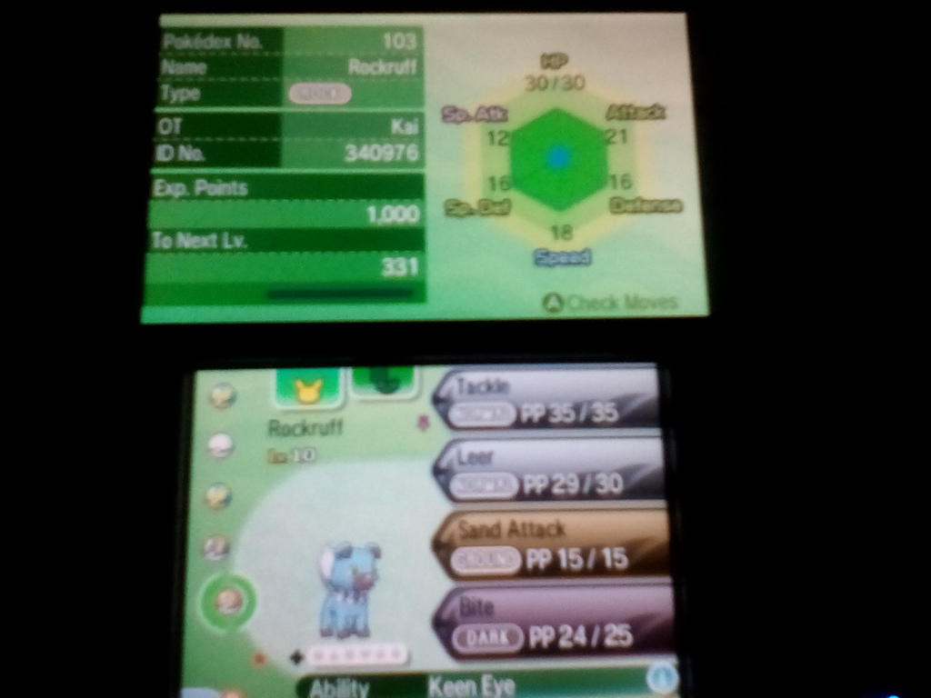 True Blue Rockruff at 42 encounters