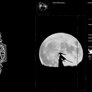 Steam Artwork - Samurai Moon