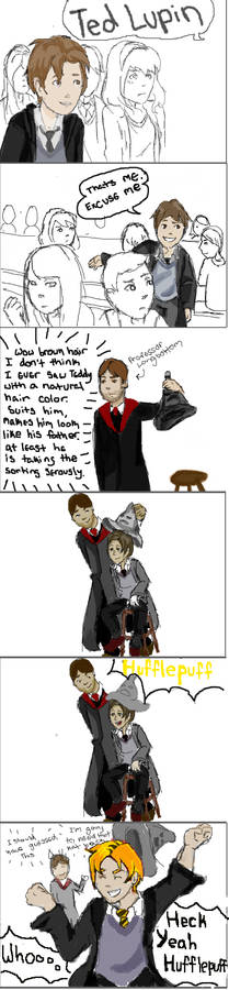 Teddy Lupin and the Sorting