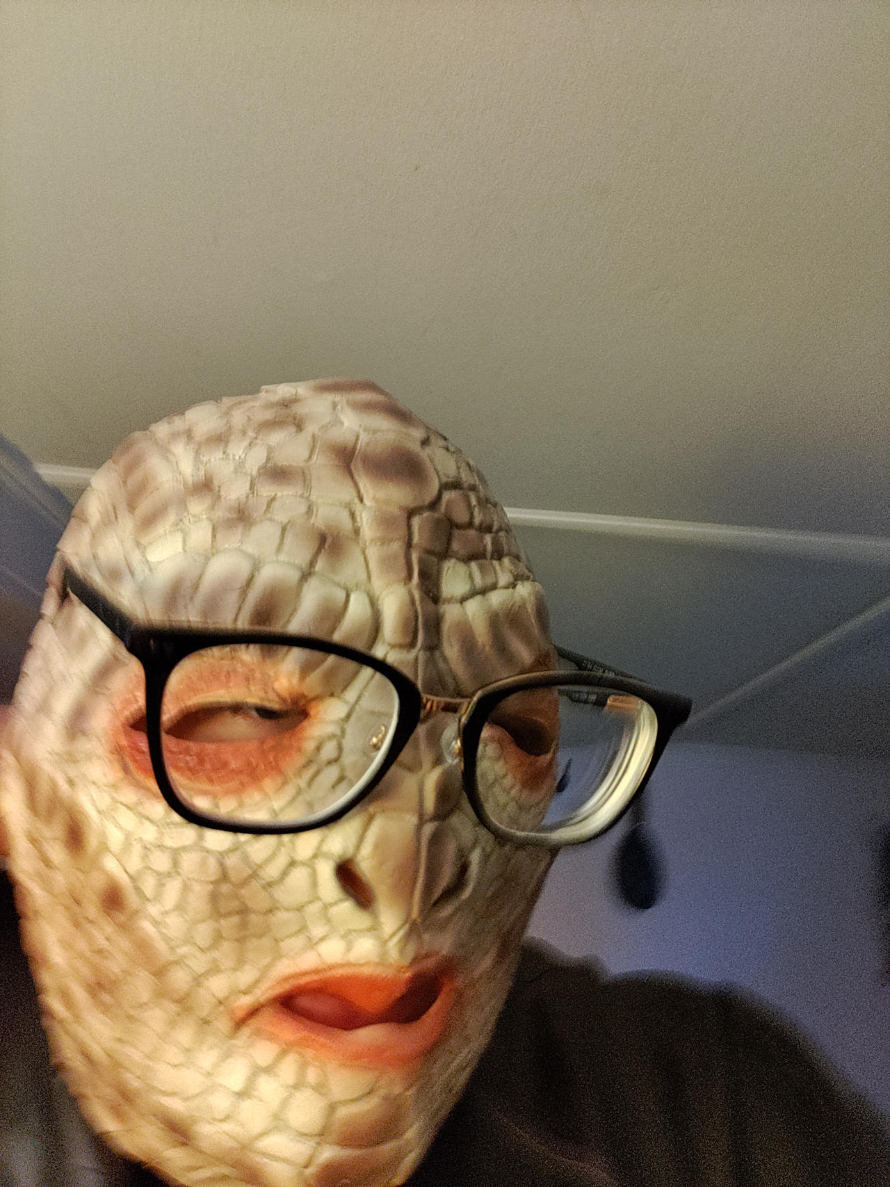 Lizard Eye Mask lizard mask with glasses base by fawsums on DeviantArt